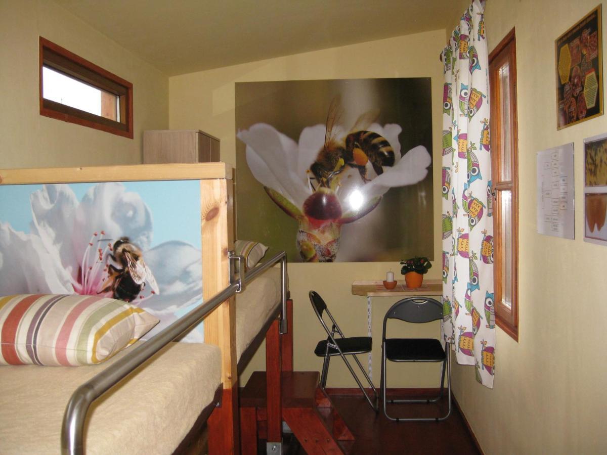 Apartmany Vcelka Hranice u Novych Hradu Bagian luar foto