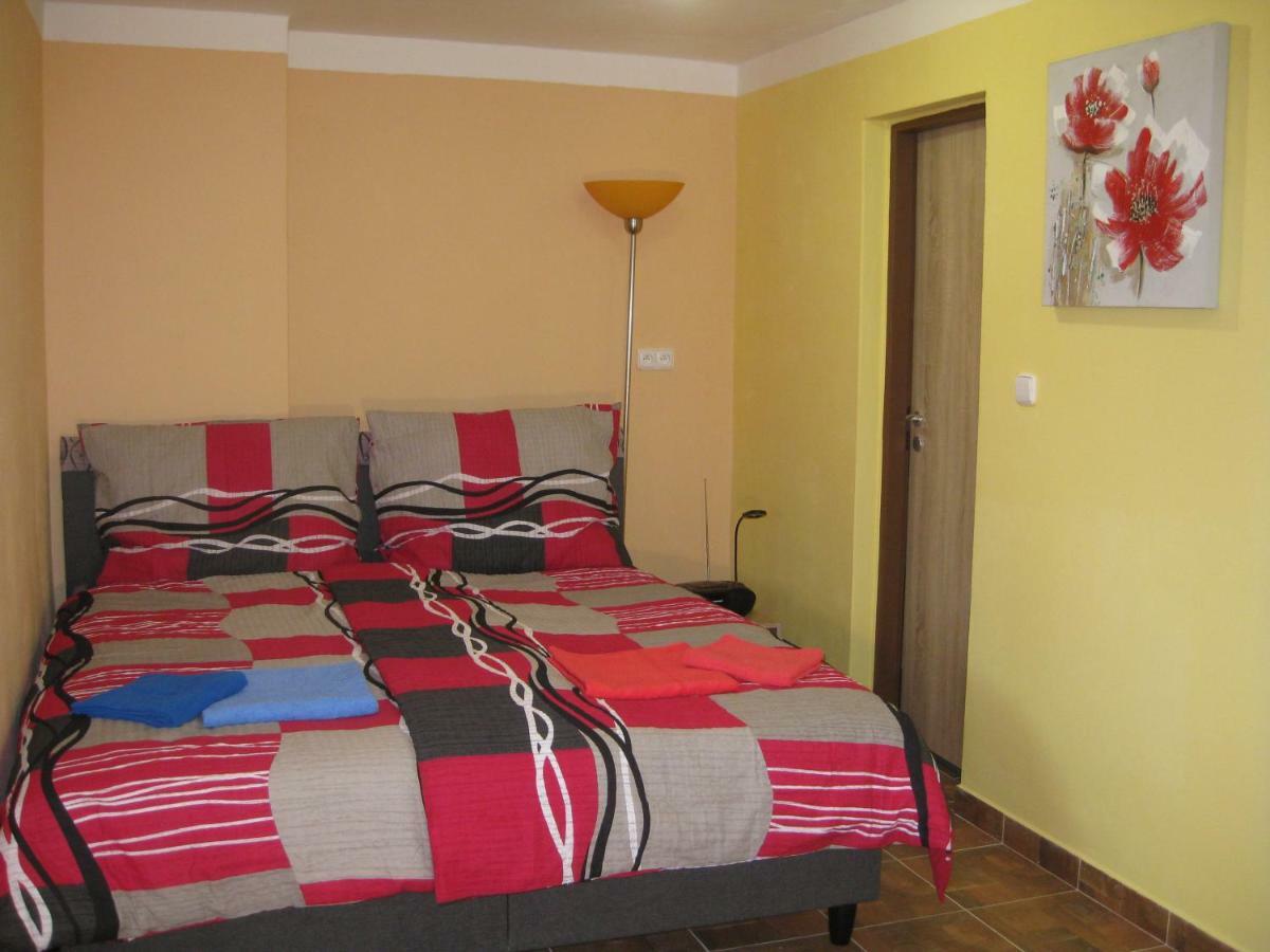 Apartmany Vcelka Hranice u Novych Hradu Bagian luar foto